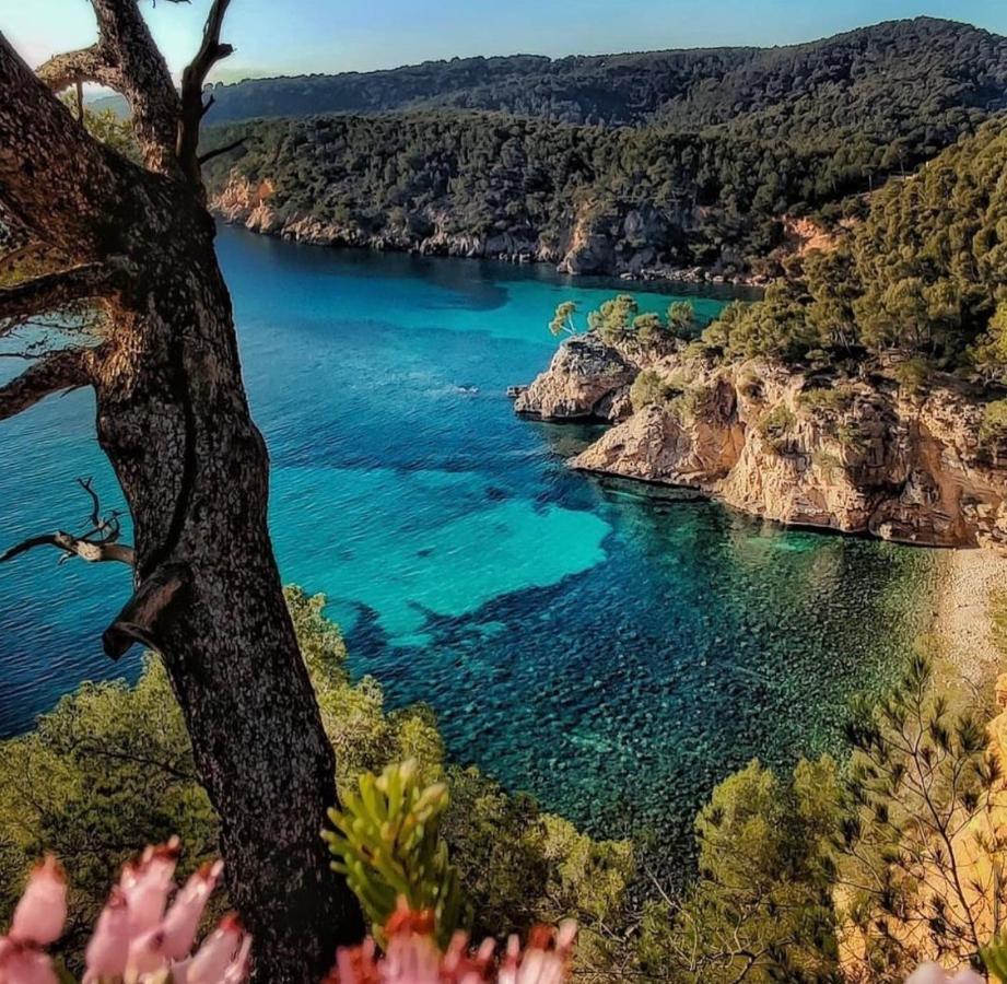 Logement Vue Mer Splendide - Situe A 50 Metres Du Bord De Mer Et 2 Minutes Des Plages - Bandolina Zewnętrze zdjęcie