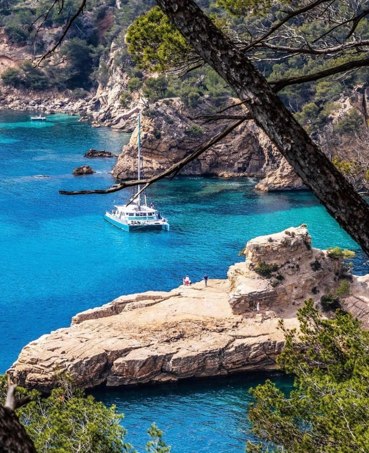 Logement Vue Mer Splendide - Situe A 50 Metres Du Bord De Mer Et 2 Minutes Des Plages - Bandolina Zewnętrze zdjęcie