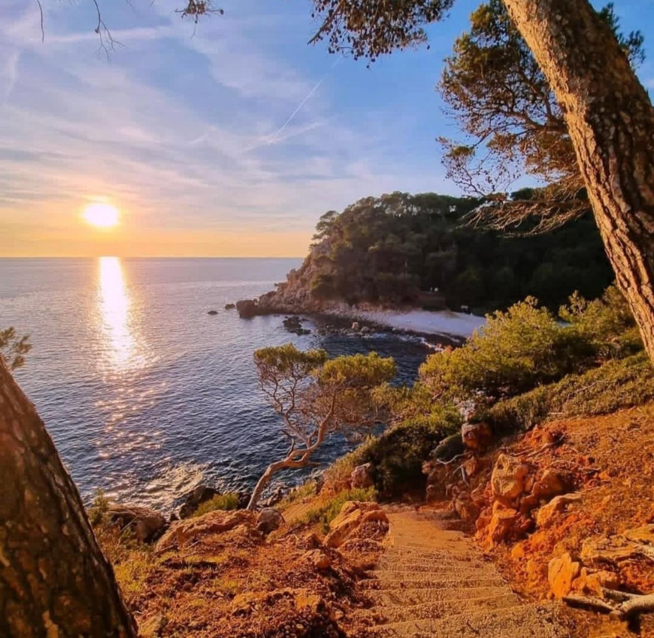 Logement Vue Mer Splendide - Situe A 50 Metres Du Bord De Mer Et 2 Minutes Des Plages - Bandolina Zewnętrze zdjęcie