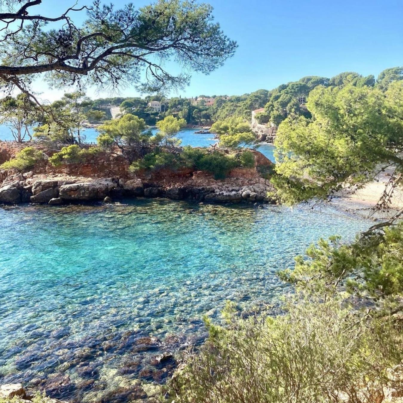 Logement Vue Mer Splendide - Situe A 50 Metres Du Bord De Mer Et 2 Minutes Des Plages - Bandolina Zewnętrze zdjęcie